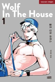 Cover Art for Wolf in the House