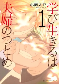 Cover Art for Manabi Ikiru wa Fuufu no Tsutome