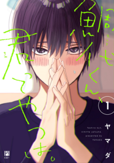 Cover Art for Tashiro-kun, Kimi tte Yatsu wa.