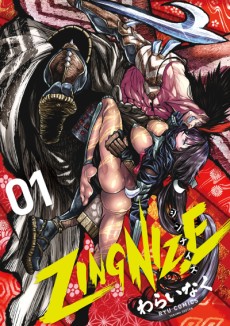 Cover Art for ZINGNIZE
