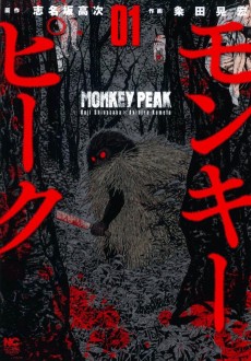 Cover Art for Monkey Peak