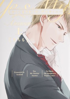 Cover Art for Kashikomarimashita, Destiny: Answer